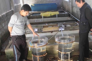 máy làm lạnh nước hồ cá công nghiệp
